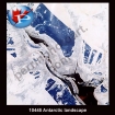 10445 Antarctic Landscape
