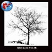10775 Lone Tree