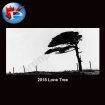 2018 Lone Tree