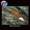 5688 Painted Rock