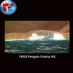 10323 Penguin Colony