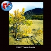 10807 Yukon Sands