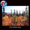 4721 Colorful Yukon
