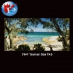 Tasman Sea TAS