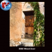 8950 Wood door