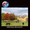 10538 Autumn Morning