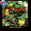 10903 Floral Carpet