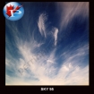 SKY 95 Shy 6