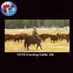 10116 Counting Cattle AB.