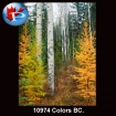 10974 Colors BC.