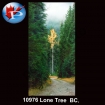10976 Lone Pine BC.