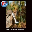 10983 Autumn Falls BC.