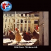 2056 Farm Chickens