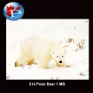 214 Polar Bear 1